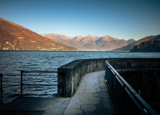 Gestão de Mídias Sociais para Empresas: Como Construir Autoridade e Gerar Leads