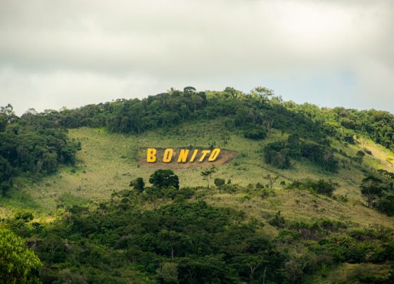 Estratégias de Google Ads para Empresas em Rondonópolis-MT