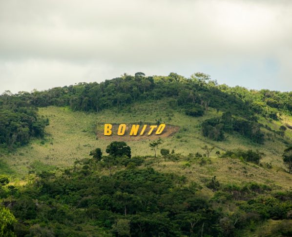 Estratégias de Google Ads para Empresas em Rondonópolis-MT