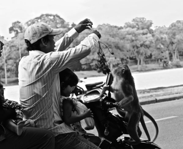 Gestor de Tráfego Pago em Rondonópolis-MT: O Guia Definitivo