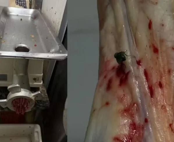 Açougue é interditado após apreensão de 475 kg de carnes em MS. (Foto: Divulgação)