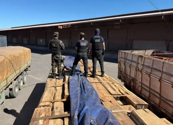 Receita Federal, Polícia Federal e Exército Brasileiro fizeram a possível maior apreensão de drogas durante operação. - Foto: Divulgação