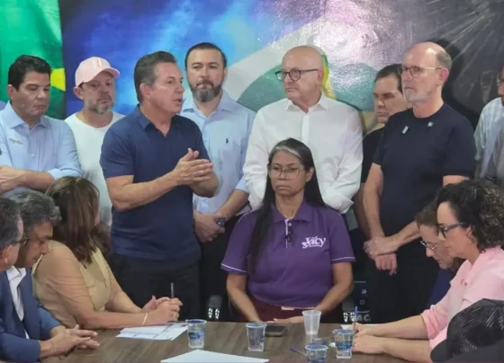 politica de primeira