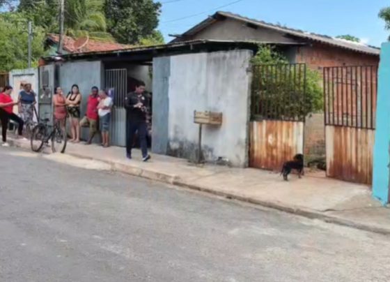 primeira pagina 8