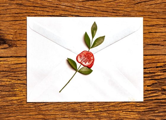 E-mail Marketing para Conversão: Como Nutrir Leads e Aumentar as Vendas do Seu Negócio?