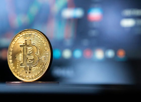 Marketing Digital para Iniciantes: Como Atrair Clientes Online?