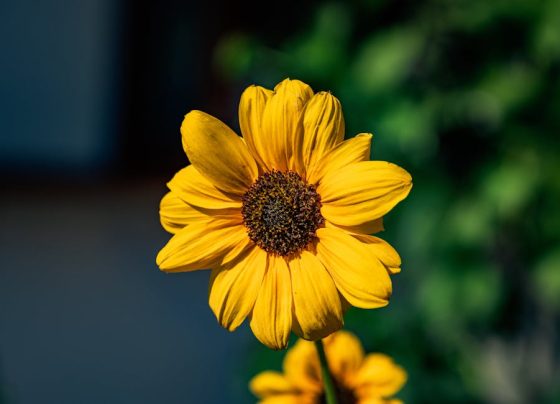 Segredos do Instagram: Alcance Mais Seguidores (e Clientes!)