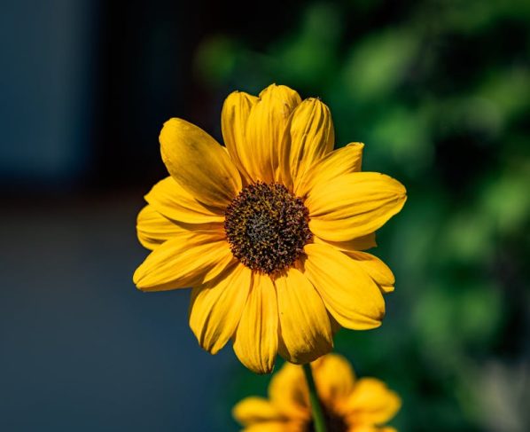 Segredos do Instagram: Alcance Mais Seguidores (e Clientes!)