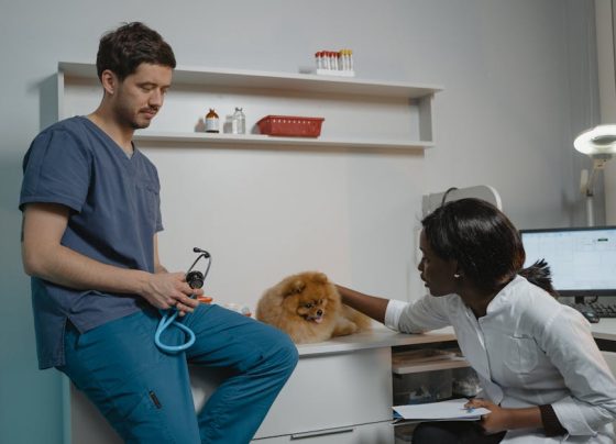 SEO para Clínicas: Como Aparecer no Topo do Google em 2025