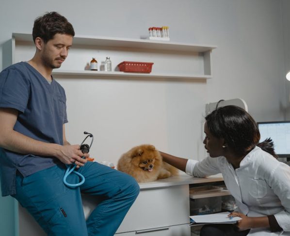 SEO para Clínicas: Como Aparecer no Topo do Google em 2025