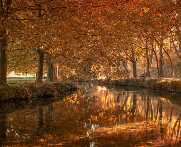 Como Empresas de Rondonópolis Cresceram com Gestor de Tráfego Pago