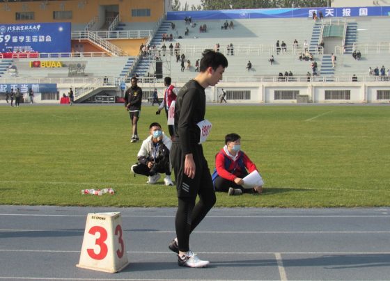 SEO Avançado vs Básico: Qual Escolher Para Resultados Reais?