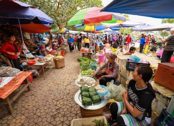 SEO Local Rondonópolis: Como Aparecer no Google?