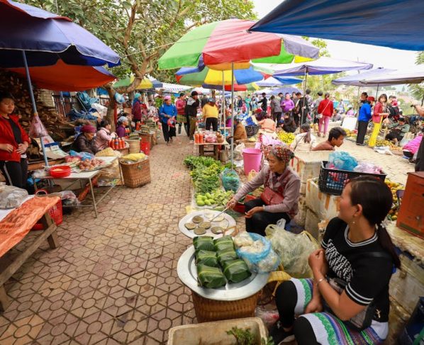 SEO Local Rondonópolis: Como Aparecer no Google?