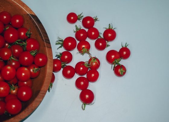 Consultor de Marketing Digital para Agronegócio: Vale o Investimento?