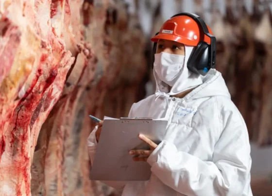 Três frigoríficos brasileiros, em Minas Gerais e Mato Grosso, tiveram exportações de carnes suspensas pela China. - Foto: Reprodução