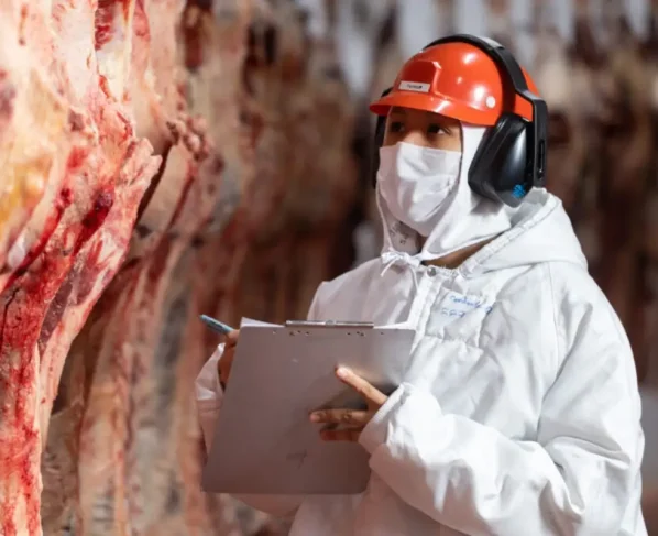 Três frigoríficos brasileiros, em Minas Gerais e Mato Grosso, tiveram exportações de carnes suspensas pela China. - Foto: Reprodução